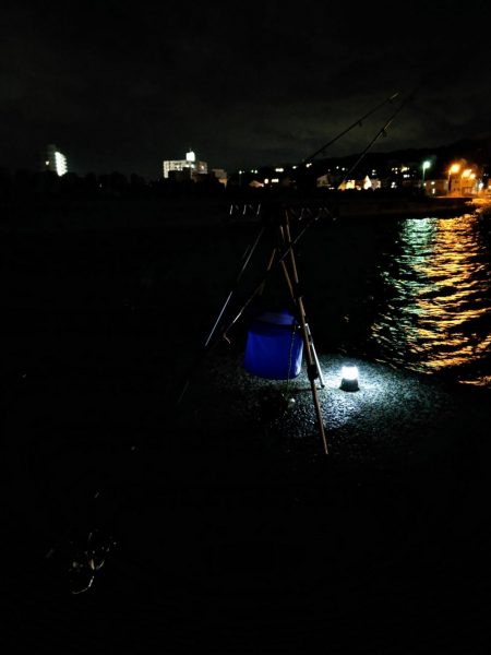 アナゴ食べたい