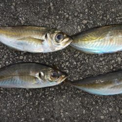 寒くてなってから3日目