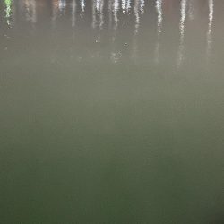 ジグ単de〜アジング!クリスマス明け