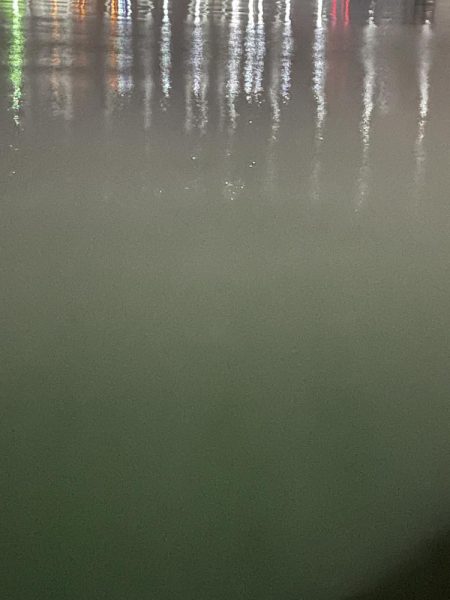 ジグ単de〜アジング!クリスマス明け