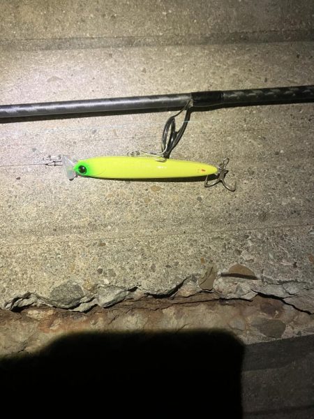 今年もチャンスはあと僅か。。