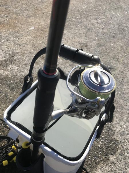 ライトワインドでカマス祭り