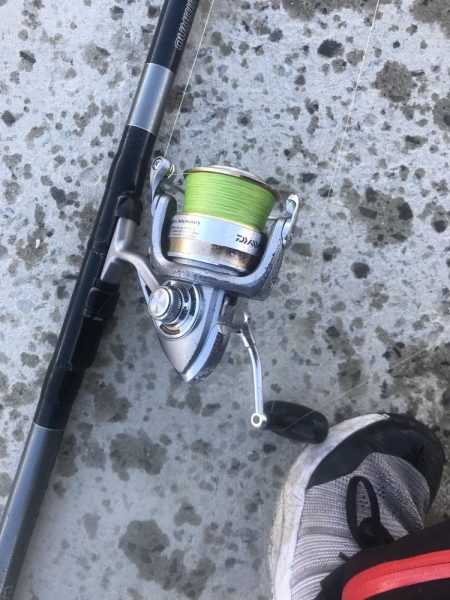 カマス飲ませでメジロGET