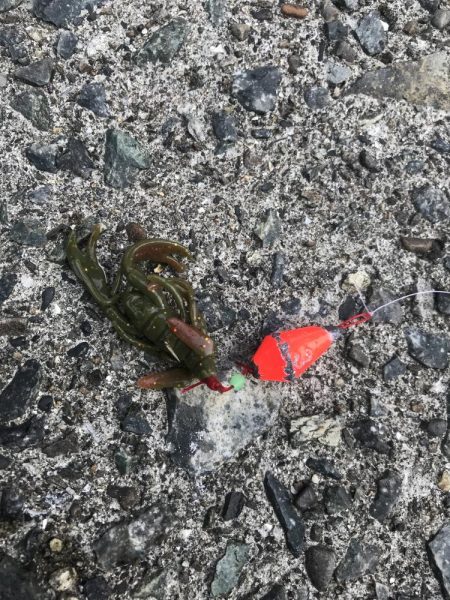 ブラクリ&ガルプ　クラビー2インチでガシラ釣り