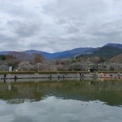 半年ぶりに魚を釣りました。