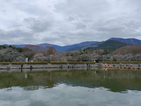 半年ぶりに魚を釣りました。