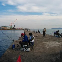 強風の播磨新間釣行