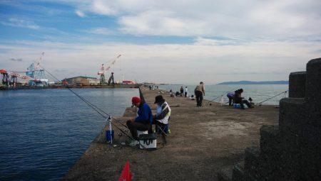 強風の播磨新間釣行