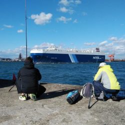 播磨新島のキス釣行