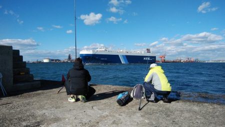 播磨新島のキス釣行