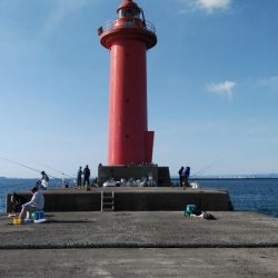 播磨新島のキス釣行