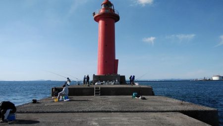 播磨新島のキス釣行