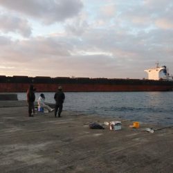 播磨新島のキス調査