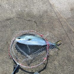 フカセ‥最高ですネ・・