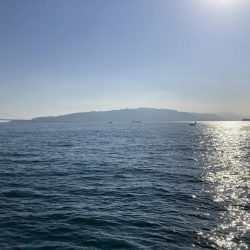 師走のグレ狙い