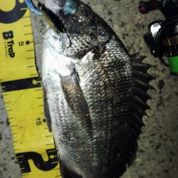 ぶら小河川調査！