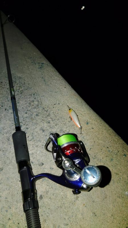 ぶらシーバス!!