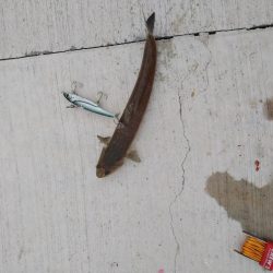 ラストスパート