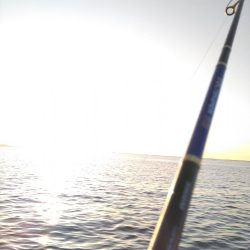 イライラを押さえて！