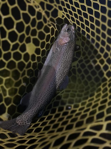 BerryPark in FISH ON！王禅寺