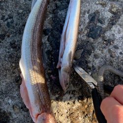 極限爆風漢気エソ