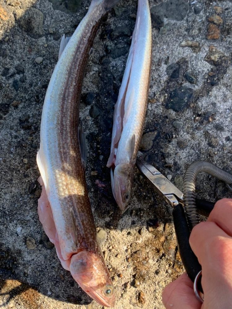 極限爆風漢気エソ