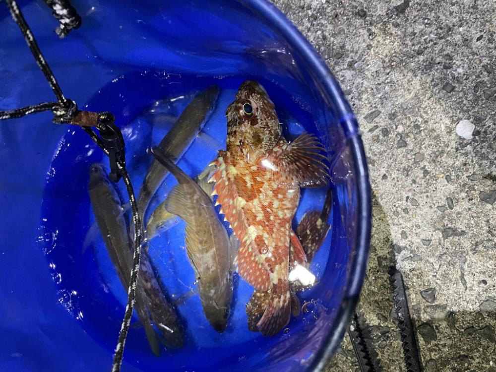 深夜に2022年釣り納め行ってきました