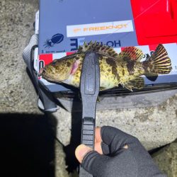 ガシリング絶好調