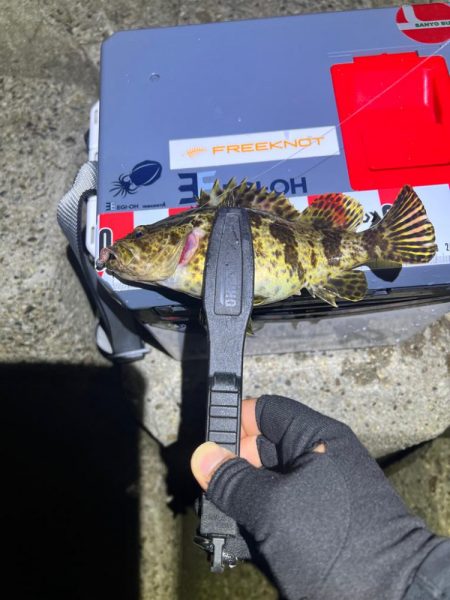 ガシリング絶好調