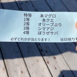 寒くても鯛は元気!