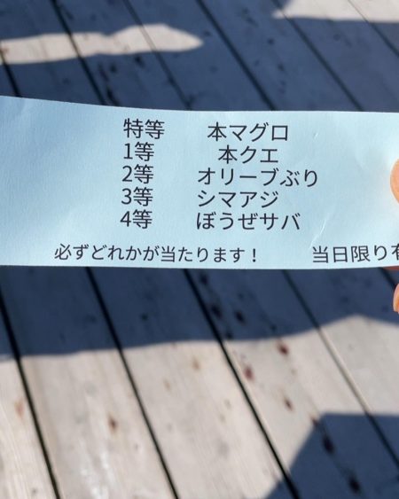 寒くても鯛は元気!