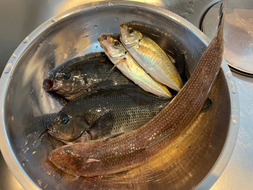 南港魚釣り園1210