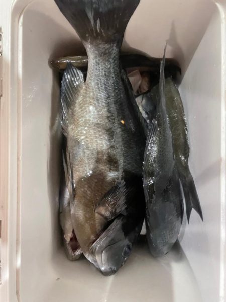 GFG大分県支部第21回青年部懇親釣り大会