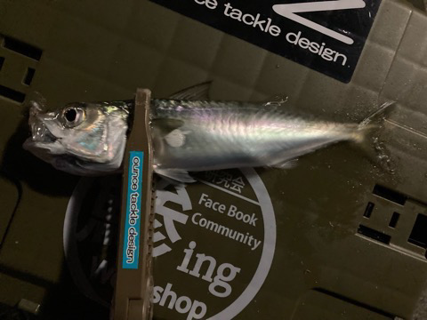 ミニにはミニで