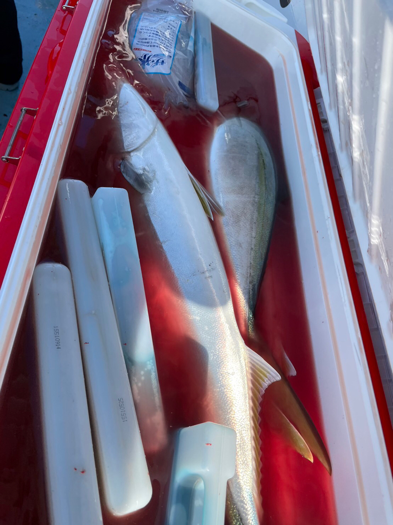 伊勢湾ジギングで釣り納め