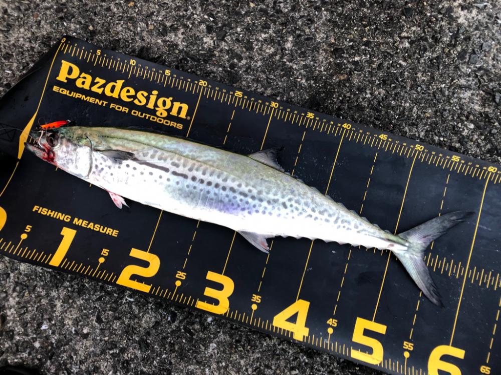 キャスティングゲームで