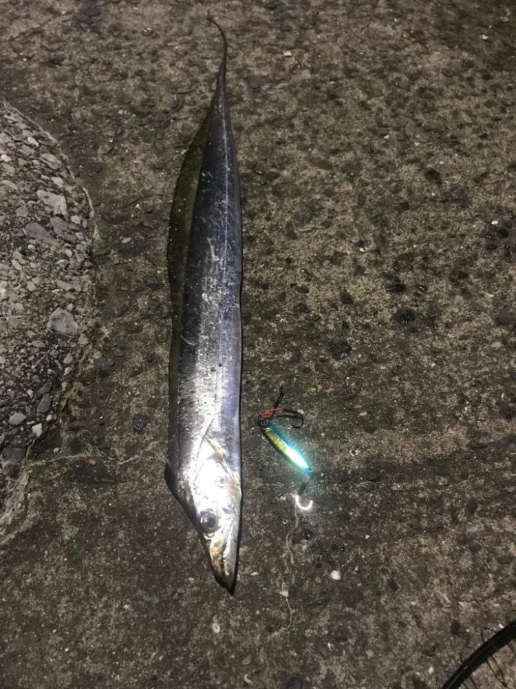 エギングは早々に終了