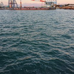 期待とは裏腹に…