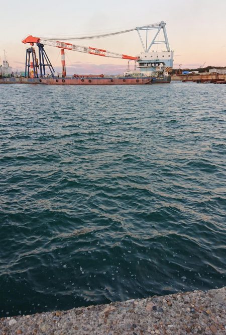 期待とは裏腹に…