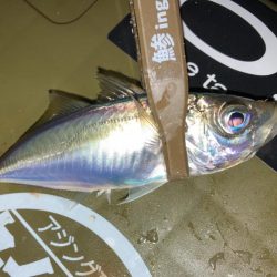 なかなか廻って来ない