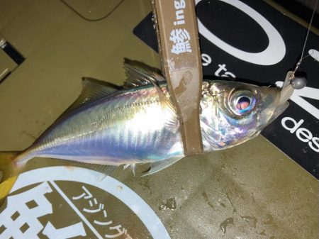 なかなか廻って来ない