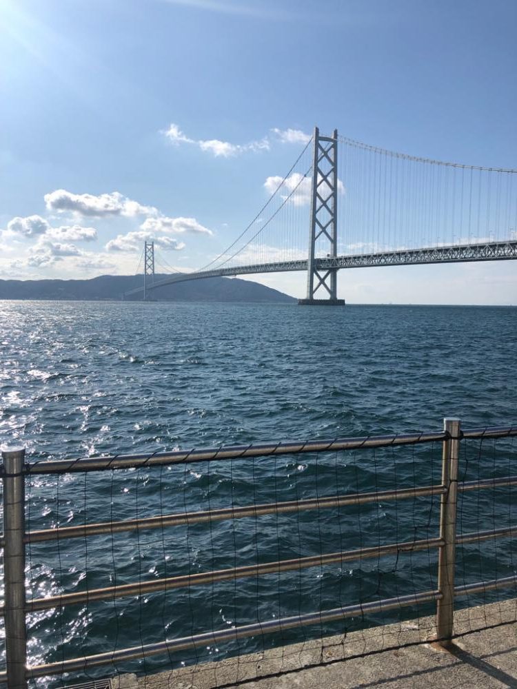 鯛を求めて再び