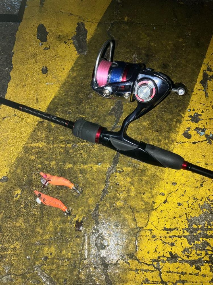 ヒイカは数釣りが面白い(^^)v