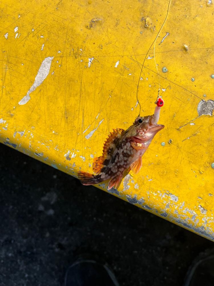 短時間ライトゲーム