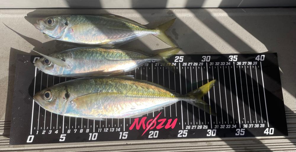 サンタが来たよ✨