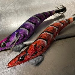 今季７杯目キロアップ