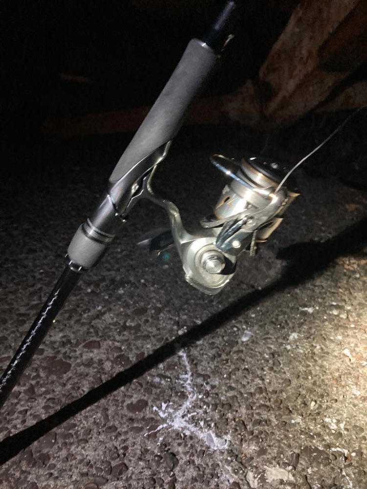 ゴメン！岸壁に衝突