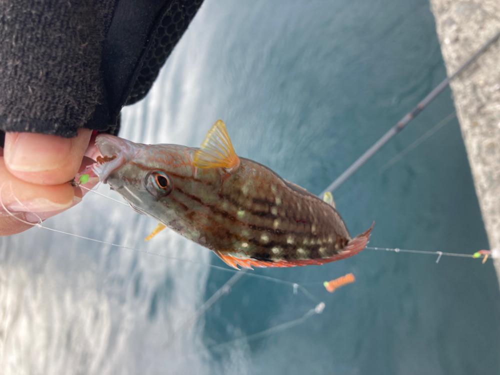 小物釣り