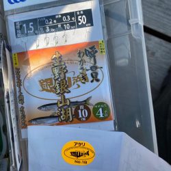 ワカサギで釣り納め