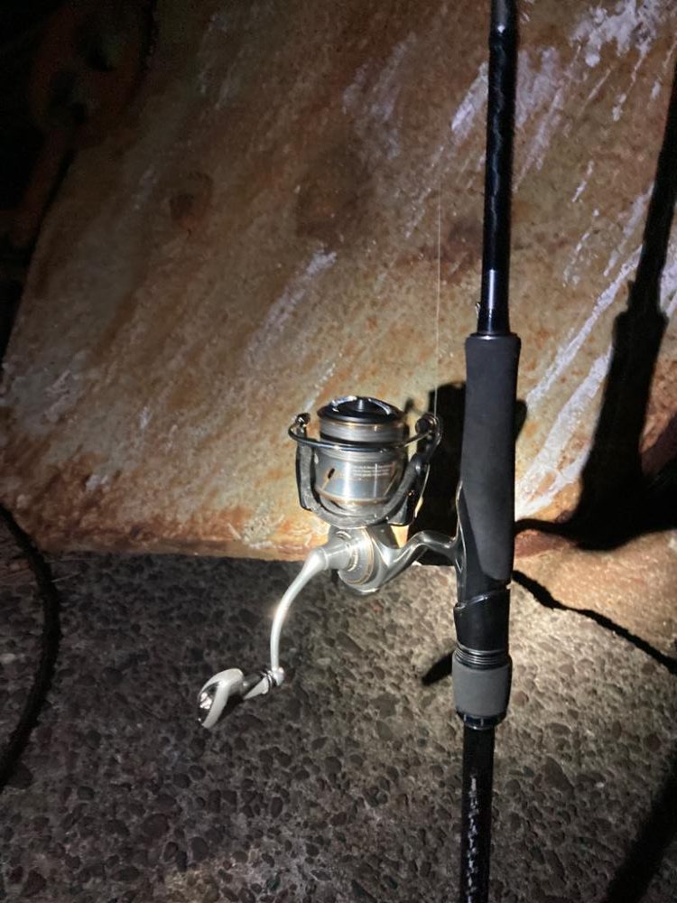 型は上がらない